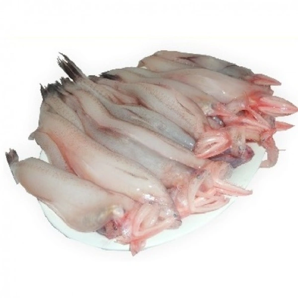Lote Mach - 500 Grams