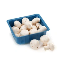 Mushrooms (Button) - 1 Pack, 180-200 GM