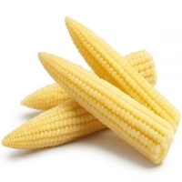 Baby Corn  - 250 Grams
