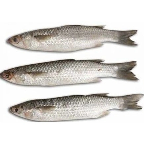 Desi Parshe Fish - 250 Grams