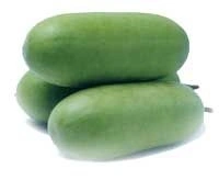 Ash Gourd (Chal kumro) - 3 Pic, 750-950 Grams