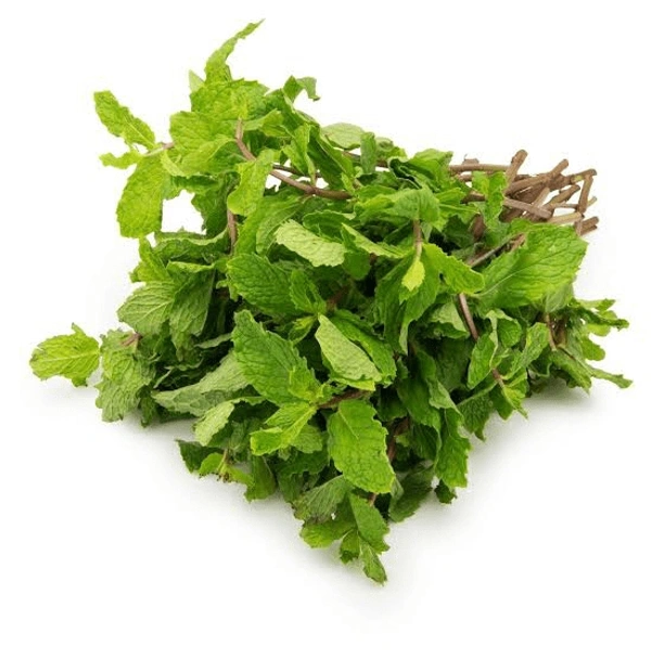 Mint Leavs (Pudina) - 1 Bunch, 70-90Grams