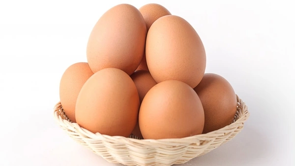 Gold Rich Brown Eggs With Box Pack - 6 Pic