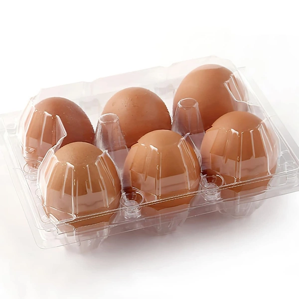 Gold Rich Brown Eggs With Box Pack - 12 Pic