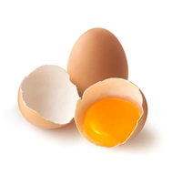 Gold Rich Brown Eggs With Box Pack - 12 Pic