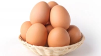 Gold Rich Brown Eggs With Box Pack - 12 Pic