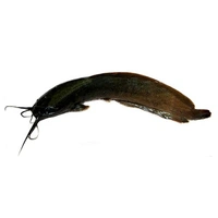 Magur Deshi  - 250 Grams