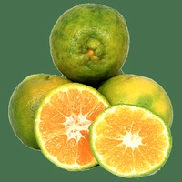 Orange  - 3 Pic