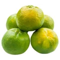Orange  - 3 Pic