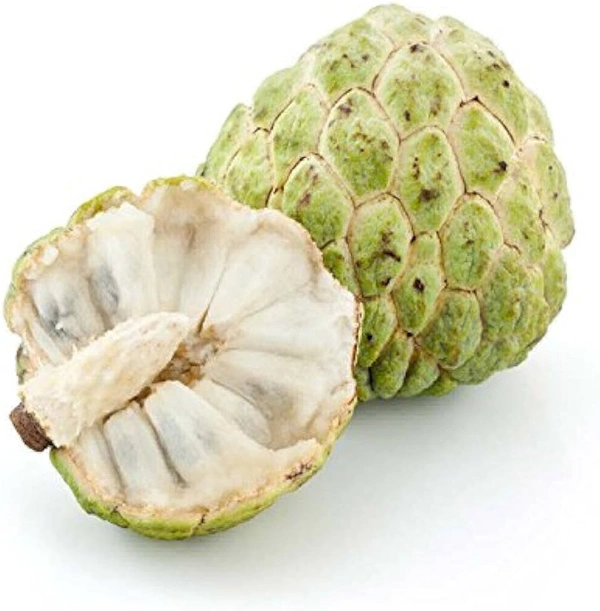 Custard apple - 1 Pic, 200-250 GM
