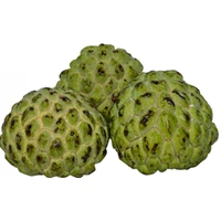Custard apple - 1 Pic, 200-250 GM