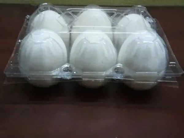 DR HEN Premium White Egg (RICH PROTINE) - 12 Pic