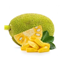 Jackfruit- Net(Paka Kathal) - 500 Grams