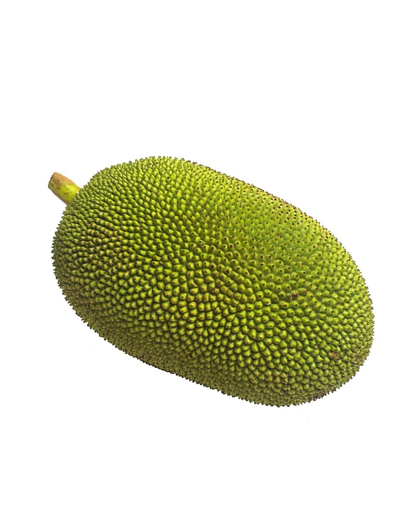 Tender Jackfruit  - 1 Pic, 1 KG-1.3 KG