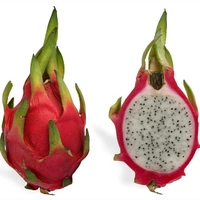 Dragon Fruit  - 1 Pic