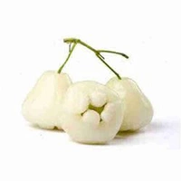 Jamrul (Wax Apple) - 250 Grams