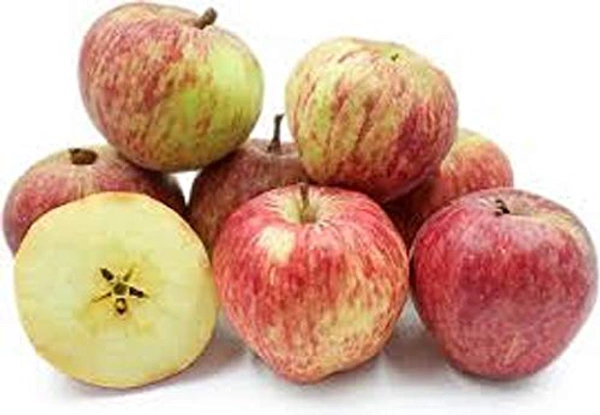 Apple - Economy (Small Size) - 1 KG