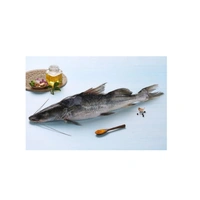 Aar Fish (Ganga) - 500 Grams