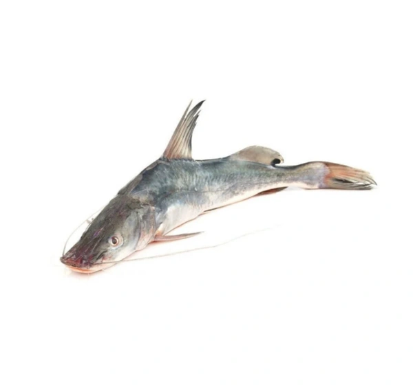 Aar Fish (Ganga) - 500 Grams