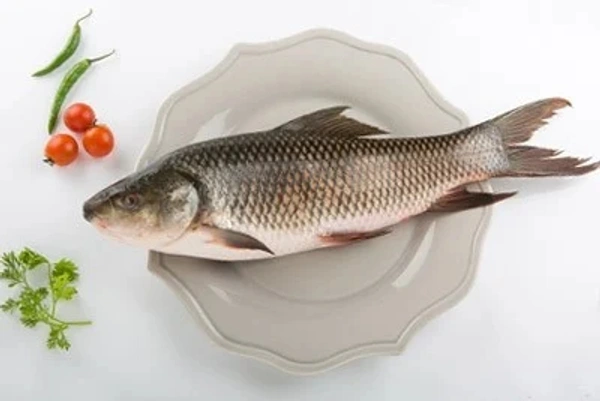 Janto Ruhi- Cut Pic (Big Size) - 3 Pic, 1.3KG-1.5 KG