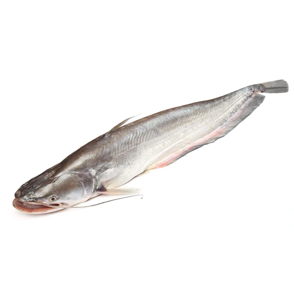 Boal Fish - With Head - 1 KG