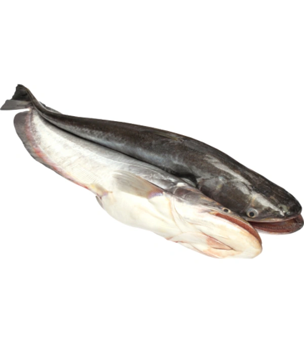 Boal Fish - With Head - 1 KG
