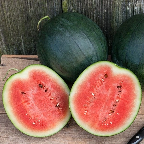 Watermelon - 1 Pic, 2.6KG-3KG