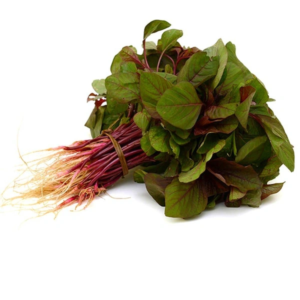 Note Saag - 3 Bunch