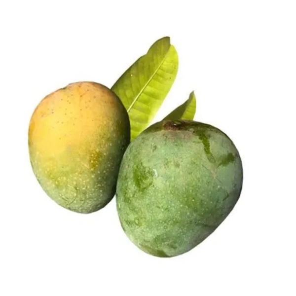 Himsagar Mango  - 2.5 KG