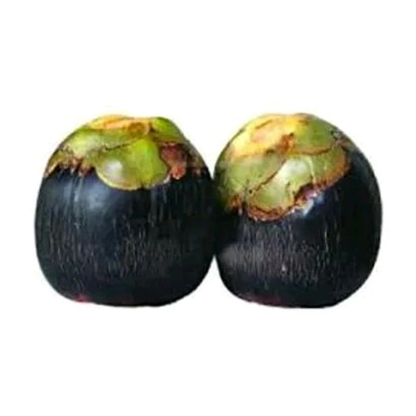 Paka Tal - 1 Pic, 1.5 Kg- 2kg