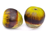 Paka Tal - 1 Pic, 1.5 Kg- 2kg