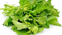 Pumpkin Leaves (Kumro Saag) - 1 Bunch