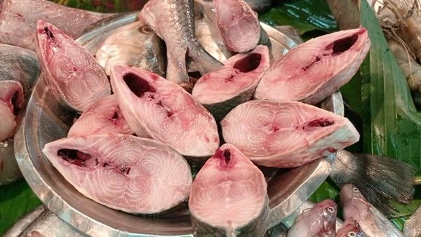 Hilsa 1 Pic Fresh Fish (Not Store) - 1 Pic, 1.1 KG-1.3 KG