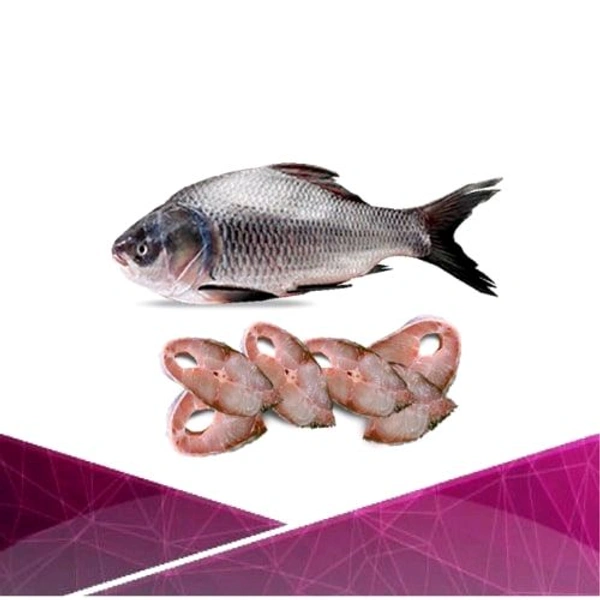 Katla Fish (With Head & Tail) - 1.5 Kg- 1.7 Kg