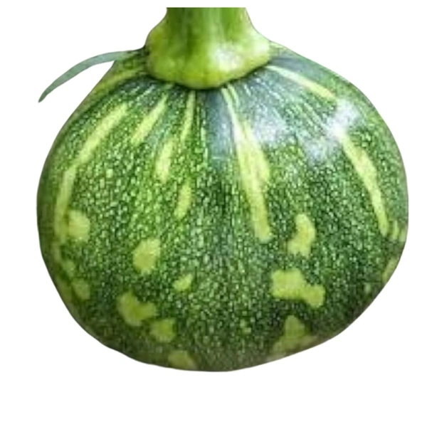 Baby Pumpkin - 3 Pic