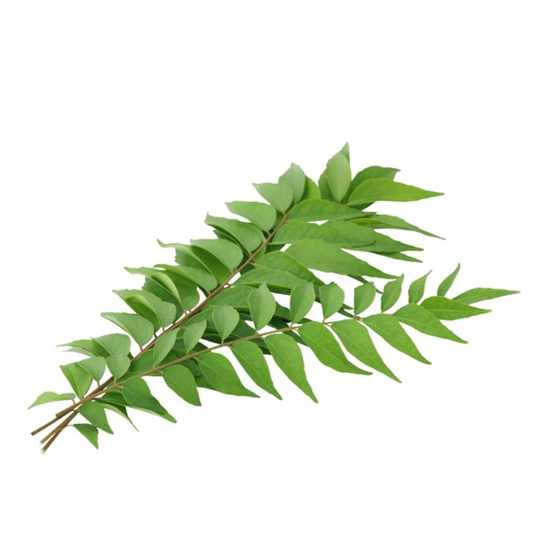 Curry Leaves  - 3 Bunch