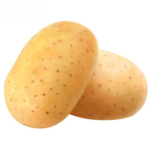 Chandramukhi Alu (New) - 1 KG