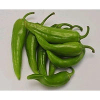 Picador Chili (Green) - 200 Grams