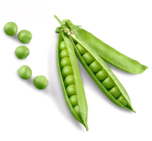 Green Pea - 1 KG