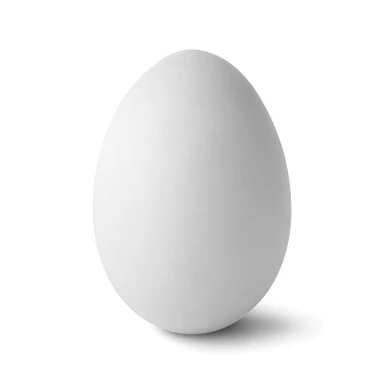 Egg