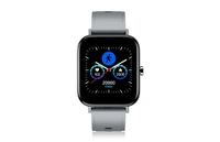 INTEX FITRIST STYLE - ASH GREY