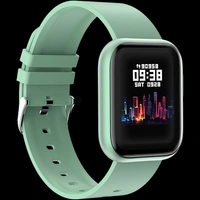 FIREBOLTT NINJA PRO - Grey