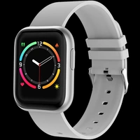 FIREBOLTT NINJA PRO - Grey