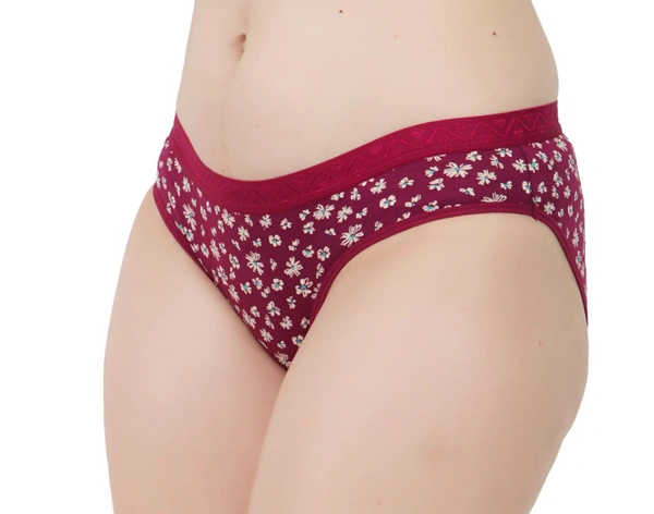 Ladyland Full Coverage Hipster panty pack of 3 - S, 100, Multi
