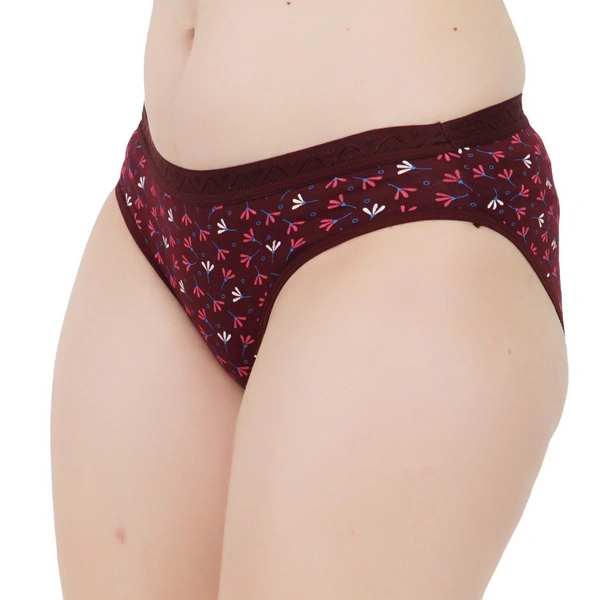 Ladyland Women Hipster panty pack of 3 - S, 100, Multicolor