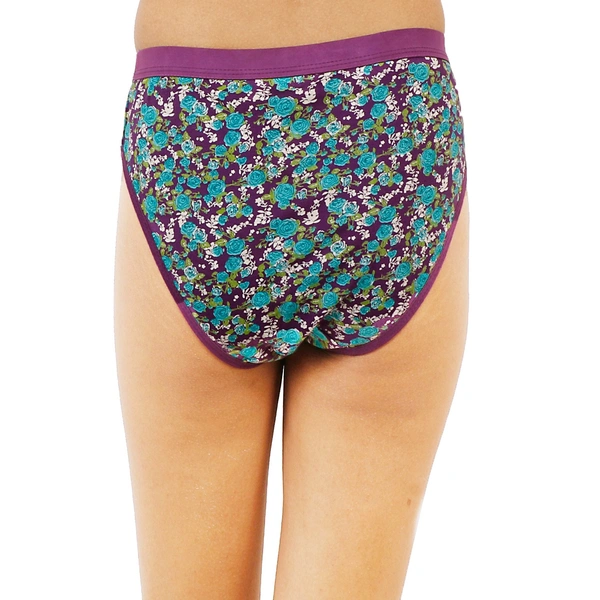 Ladyland Women Hipster Panties  Pack of 3 - XL, 100, Multi