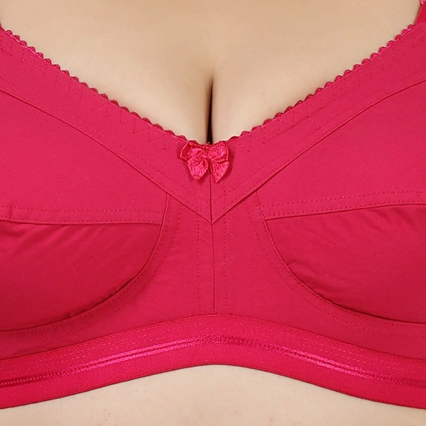 Ladyland Women T-Shirt Non Padded Bra - 32C, 100, Magenta