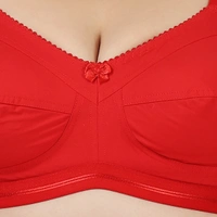 Ladyland Women T-Shirt Non Padded Bra - 44C, Red