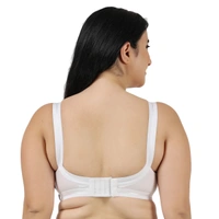 Ladyland Women T-Shirt Non Padded Bra - 32C, White
