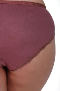 Ladyland Full Coverage Hipster Lace Panty - XL, 100, Multicolor